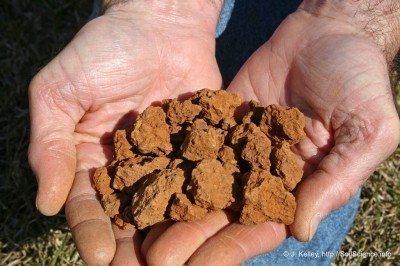 粘土soil1