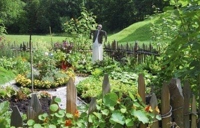 蔬菜garden1