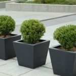 容器shrubs1