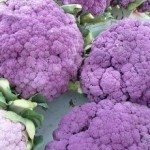 紫花椰菜