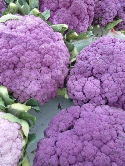 紫色的菜花