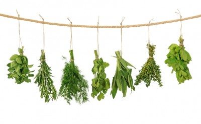 挂herbs1