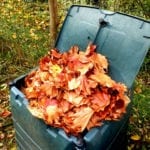 树叶放在堆肥箱里