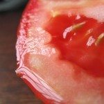 番茄种子1