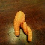变形Carrot1.