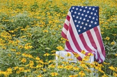美国国旗的花