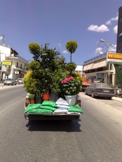 运输植物