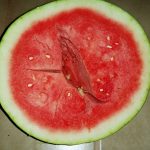 空心watermelon2