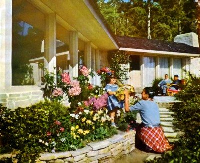 五十年代花园