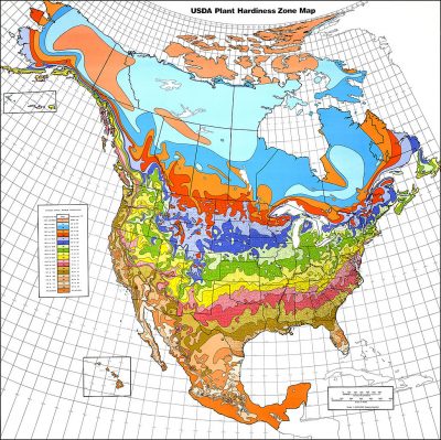 美国农业部耐寒区地图