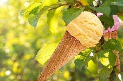 冰淇淋树