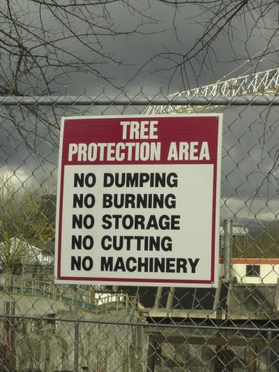 树的保护