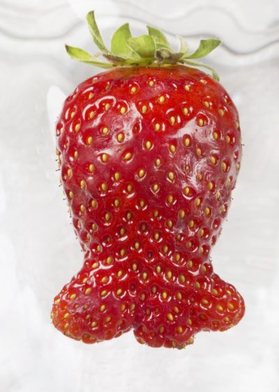 草莓畸形