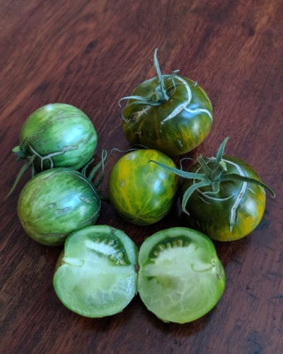 绿色摩尔多瓦番茄