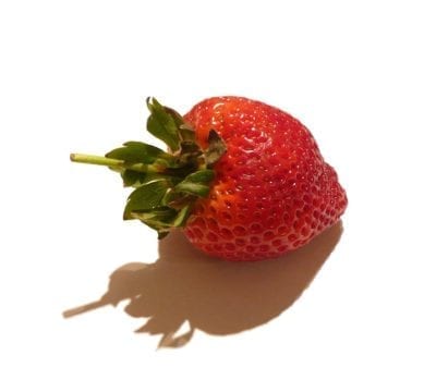 Camarosa草莓