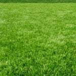 草坪pH值