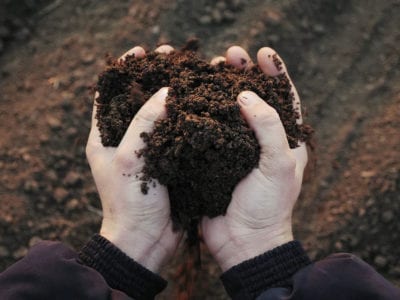 可持续发展的土壤