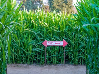 玉米迷宫