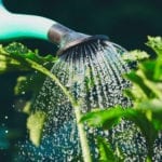 软化水与植物